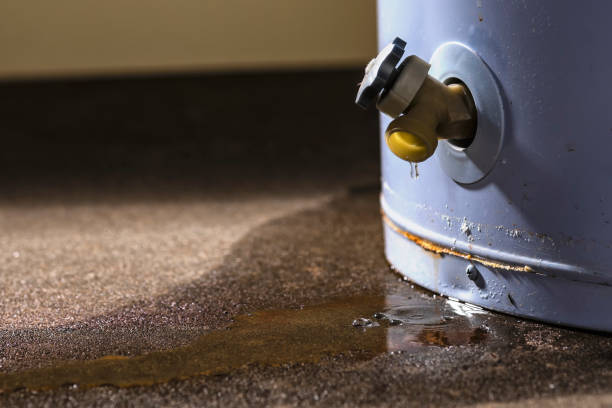 Danville, IN Water damage restoration Company