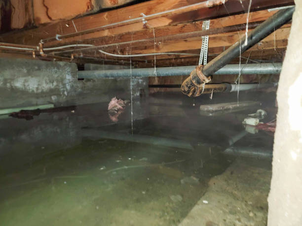 Sewage cleanup and water damage restoration in Danville, IN