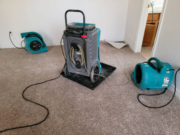Best Water damage cleanup near me  in Danville, IN