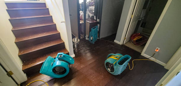 Best Sewage cleanup and water damage restoration  in Danville, IN
