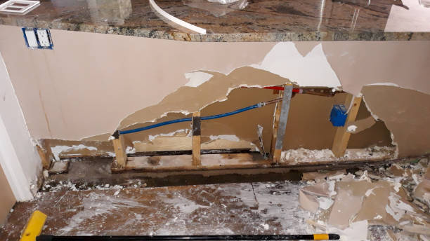 Best Water damage restoration near me  in Danville, IN
