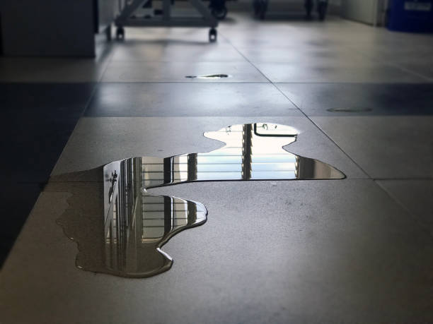 Best Emergency water damage restoration  in Danville, IN