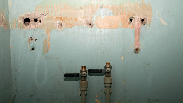 Water damage restoration mold remediation in Danville, IN