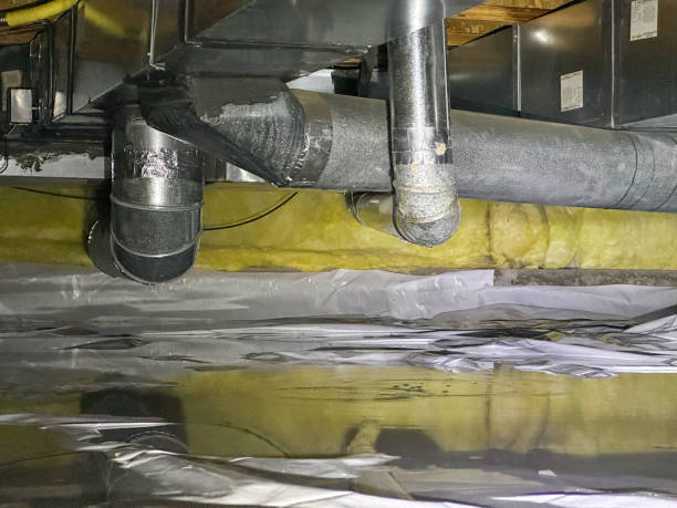 Best Residential water damage restoration  in Danville, IN