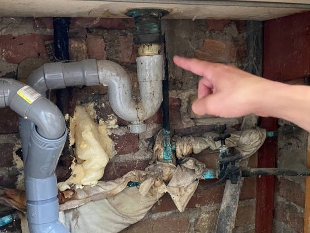 Best Commercial water damage restoration  in Danville, IN