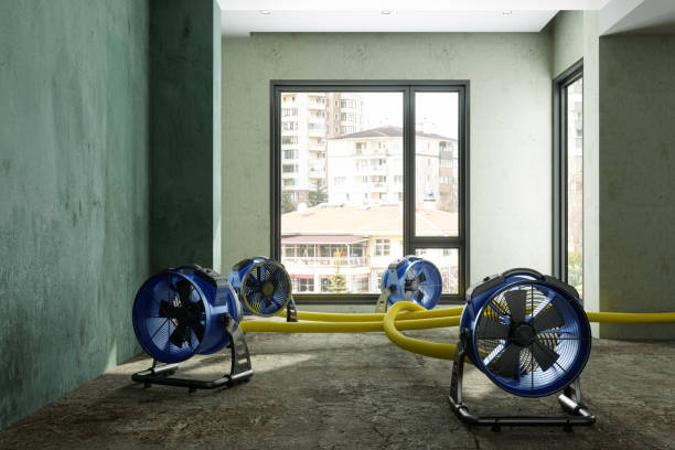 Best Basement water damage restoration  in Danville, IN